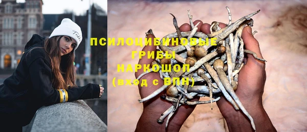ECSTASY Балахна